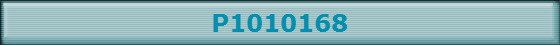 P1010168