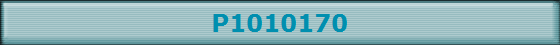 P1010170