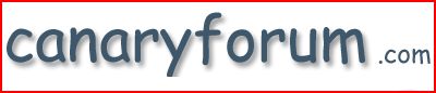 canary forum