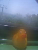 Copy (2) of RTW 2005 277