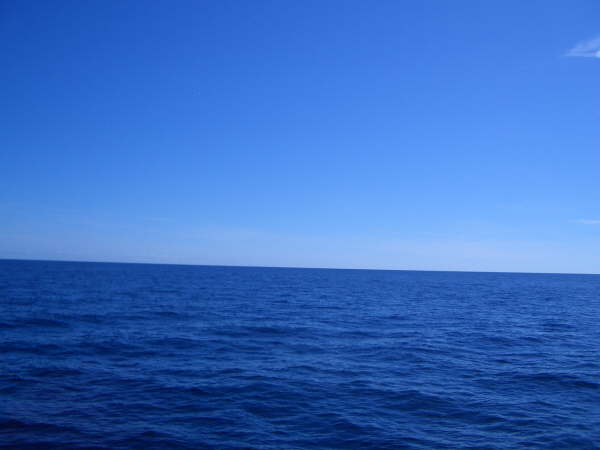 Copy of RTW 2005 182