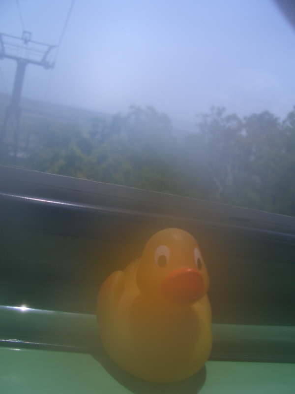 Copy of RTW 2005 277