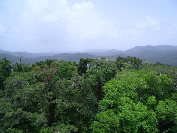 Copy of RTW 2005 282
