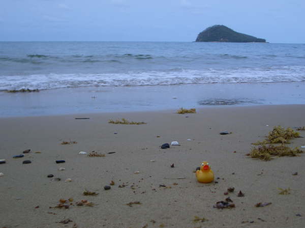 Copy of TD Beach