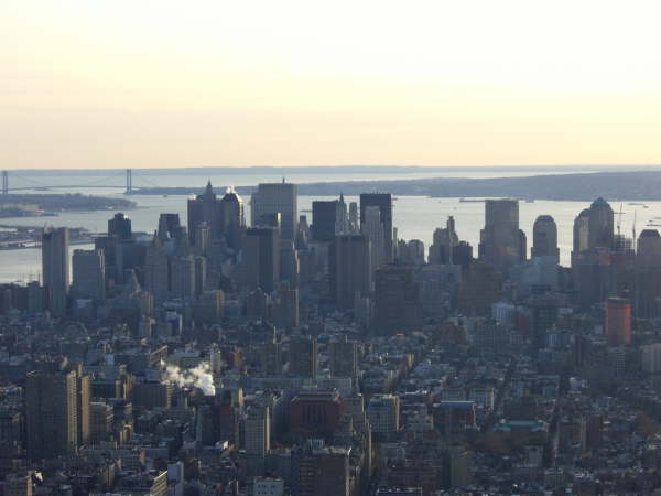 New York (109)
