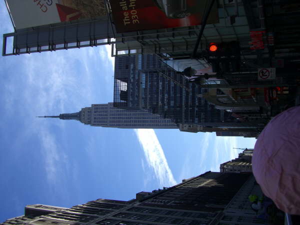New York (151)