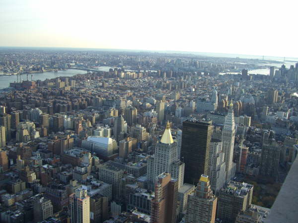 New York (169)