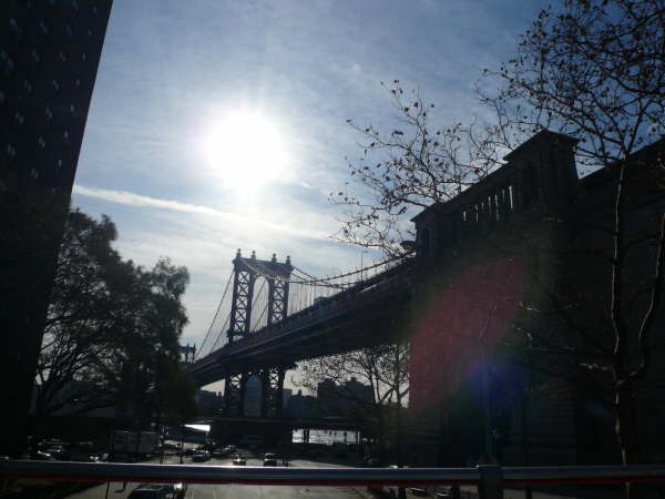 New York (237)