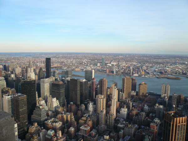 New York (243)
