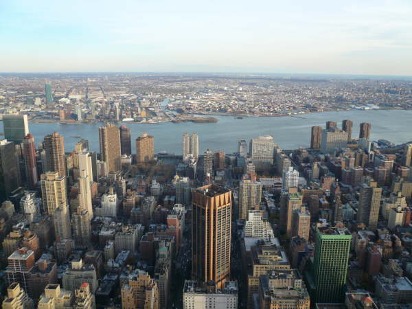 New York (245)