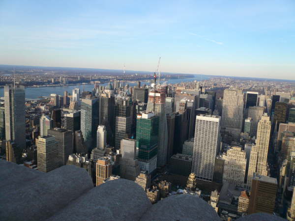 New York (249)