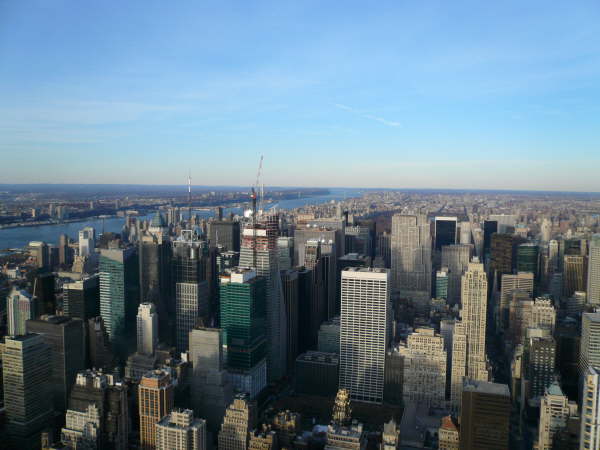 New York (250)
