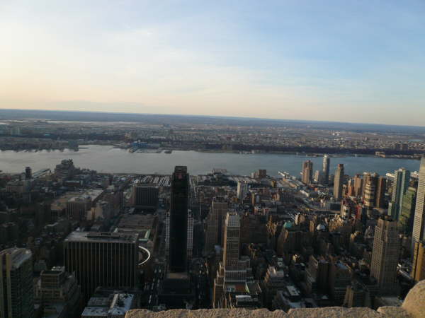 New York (254)