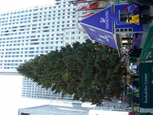 New York (58)