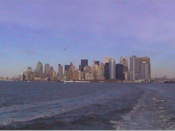 New York (63)