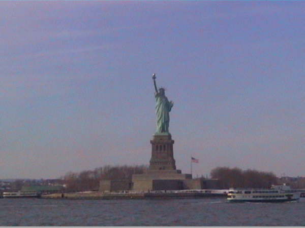 New York (66)