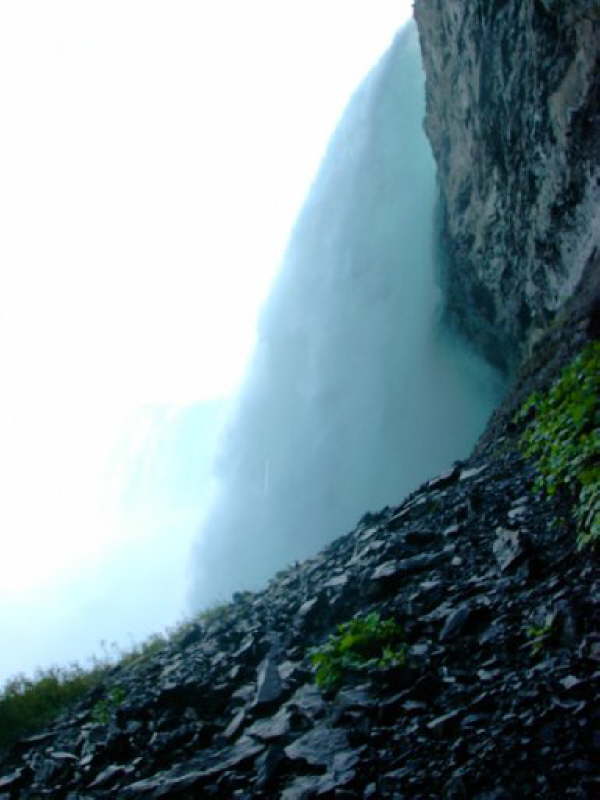 Niagara (72)
