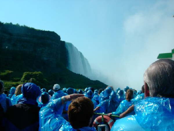 Niagara (80)