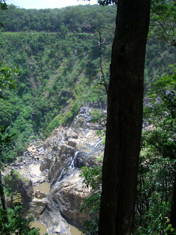 RTW 2005 290