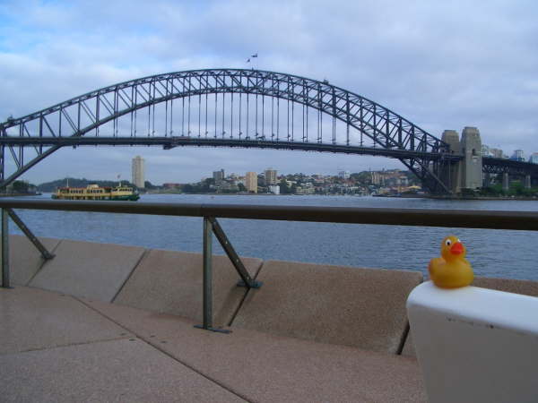 TD Sydney bridge 2