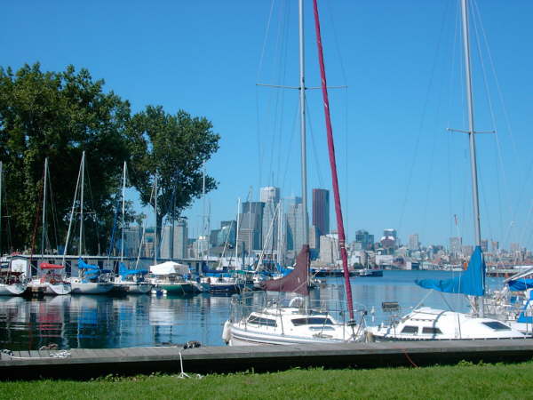 Toronto (19)