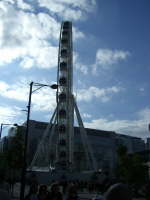manchester (3)