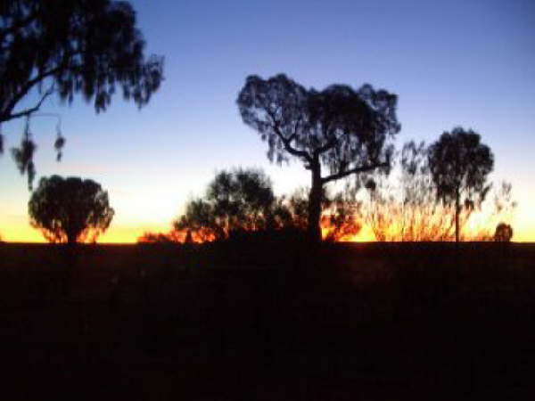 web Sunset 4