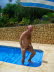 Benidorm 017