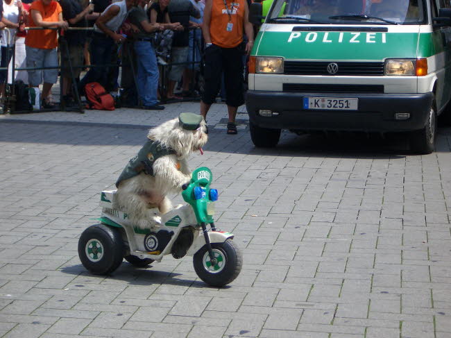 Cologne CSD 2005 (56)