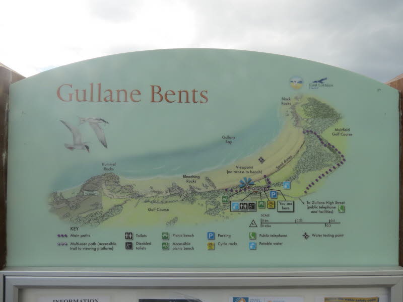 Gullane (44)