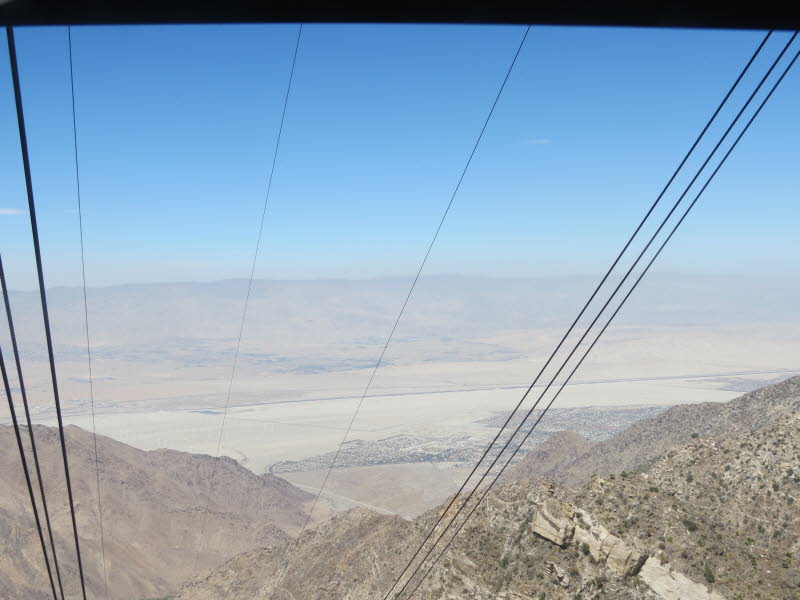 Palm Springs (10)
