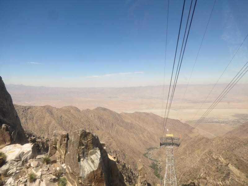 Palm Springs (12)