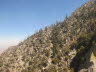 Palm Springs (13)