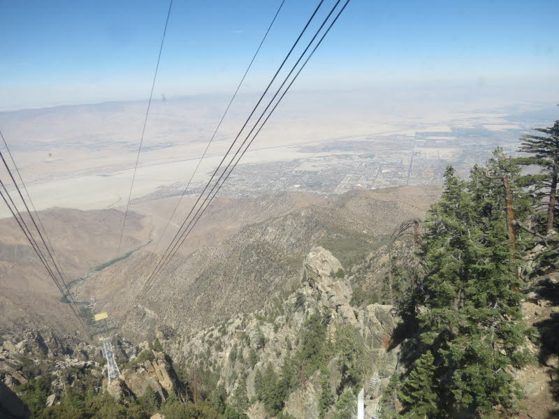 Palm Springs (16)