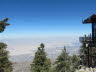 Palm Springs (18)