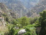 Palm Springs (2)