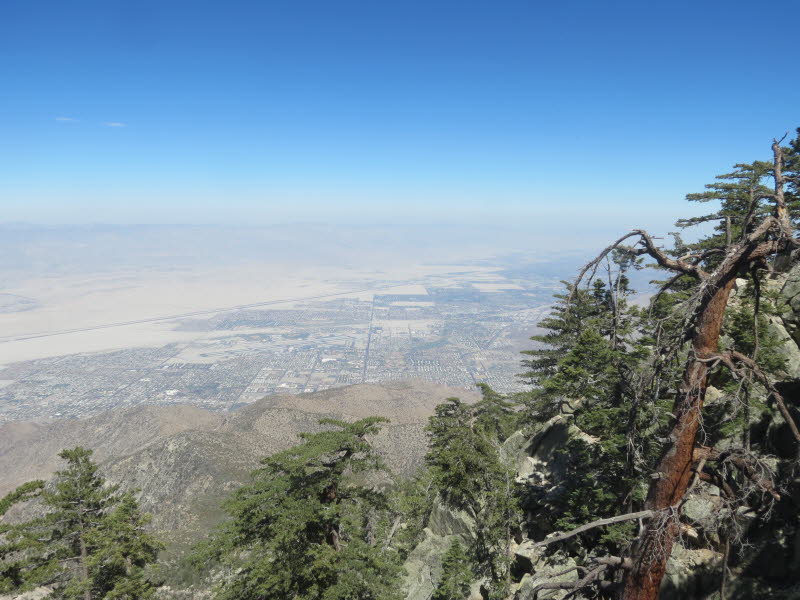 Palm Springs (21)