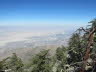 Palm Springs (22)