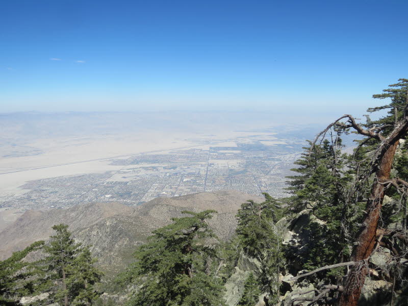 Palm Springs (22)