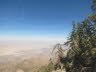 Palm Springs (23)