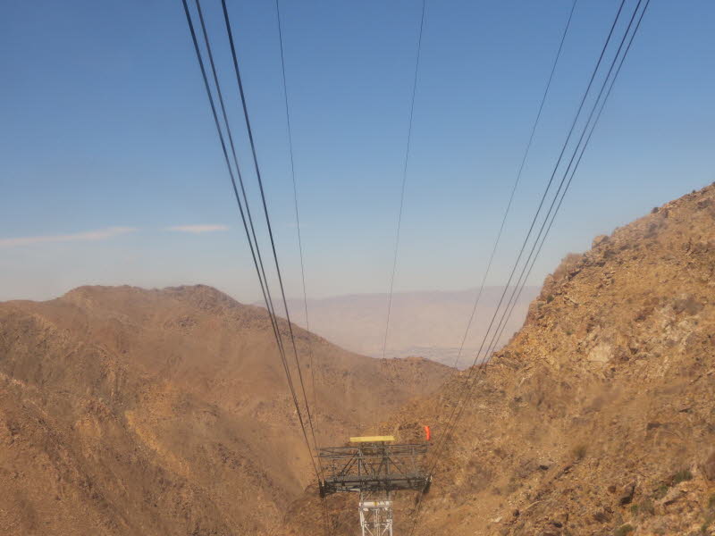 Palm Springs (5)