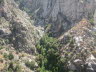 Palm Springs (8)