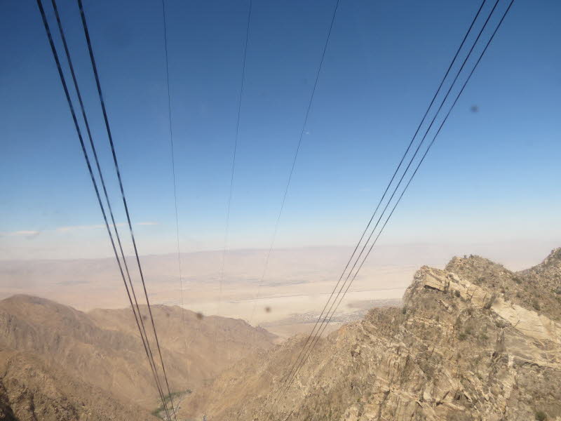 Palm Springs (9)