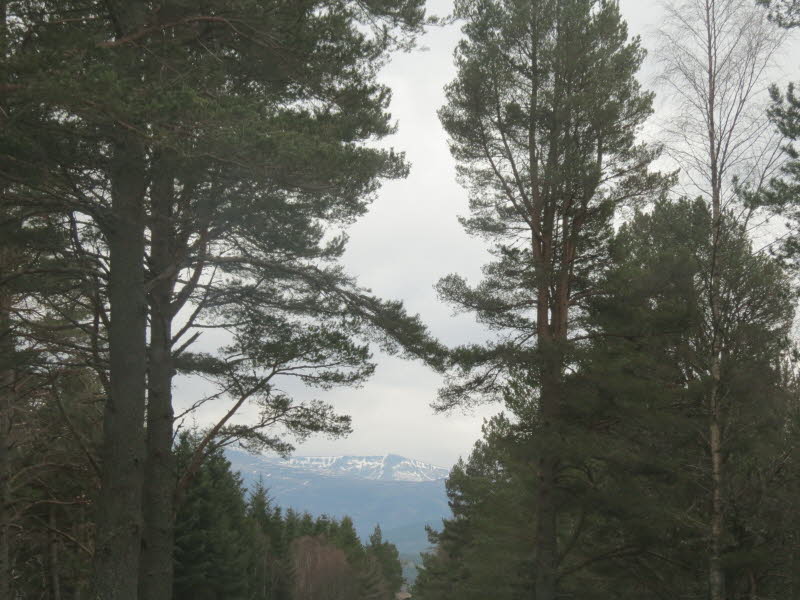 Paul and Klaus in Scotland (54)