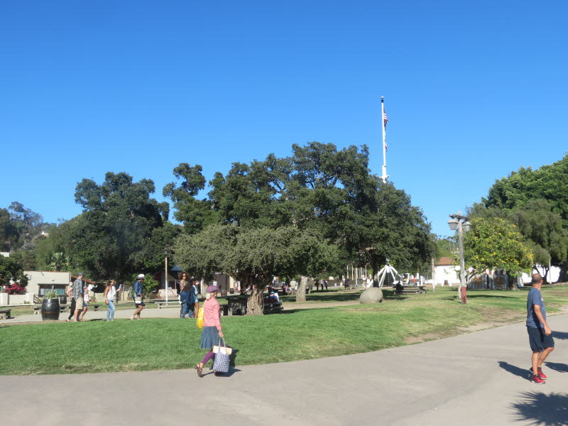 San Diego (39)