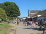San Diego (41)