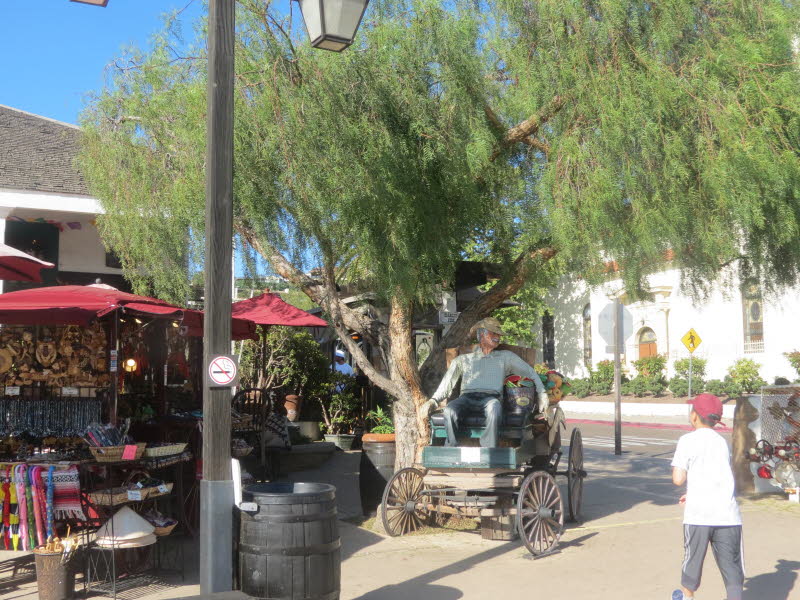 San Diego (45)