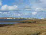 Shetland (10)