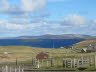 Shetland (32)