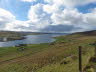 Shetland (40)